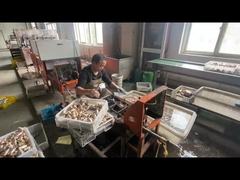 ODM tubo de gas de latón cierre de válvula personalizada con color del mango azul